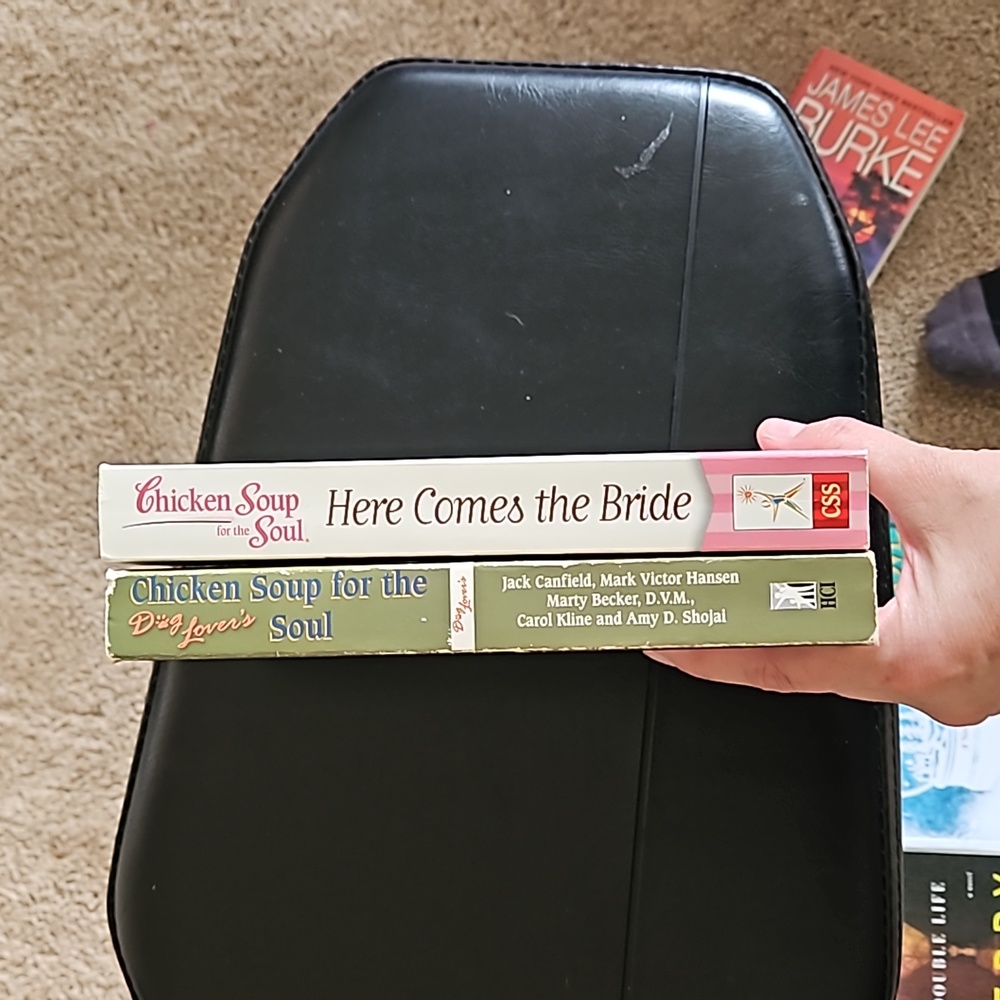 Chicken Soup book bundle - Picture 4 of 4